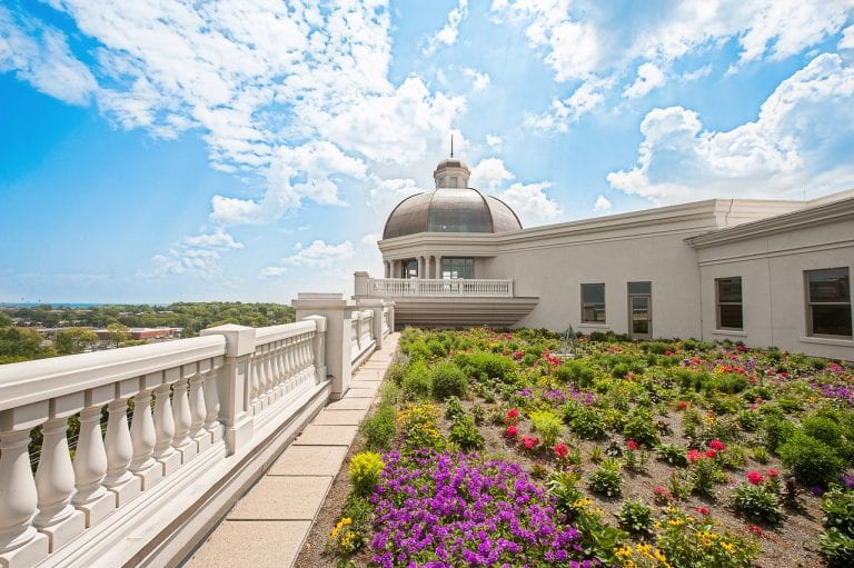 Belmont Green Roofs Featured in Nashville News