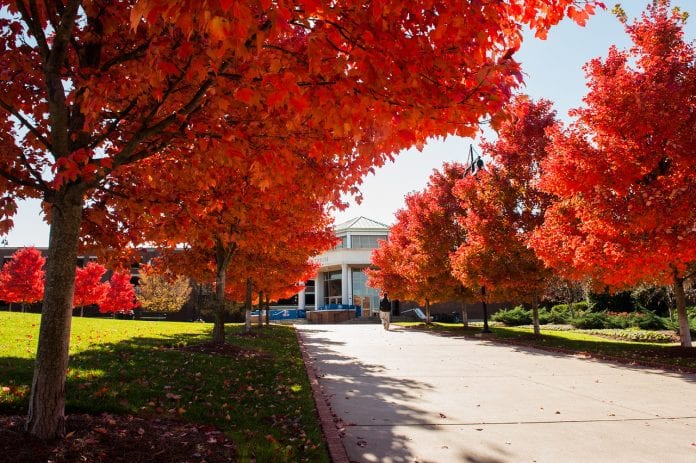 Colorful trees outside the Maddox Grand Atrium