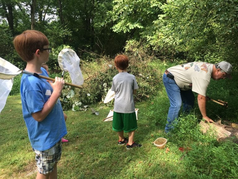 Murphree Busy with Summer Bug Activities