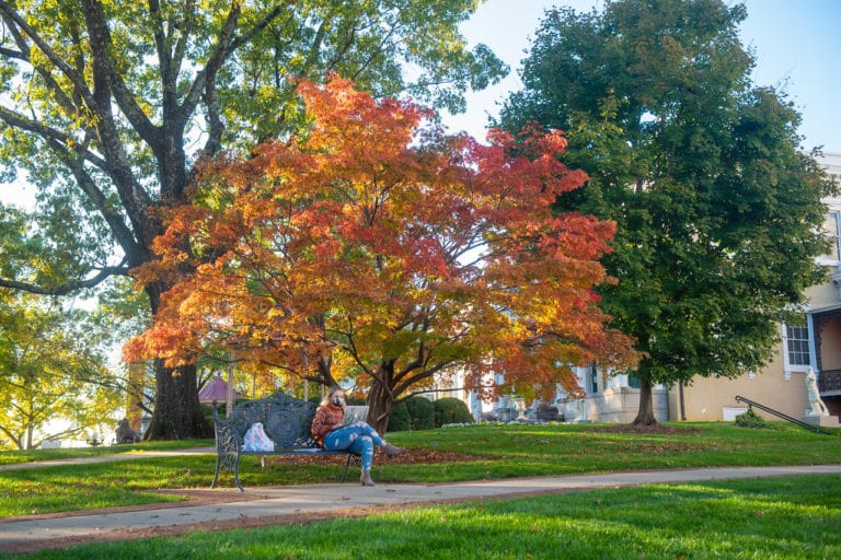 Belmont University Announces Fall 2020 Dean’s List