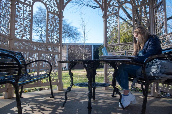 Student studies in campus gazebo